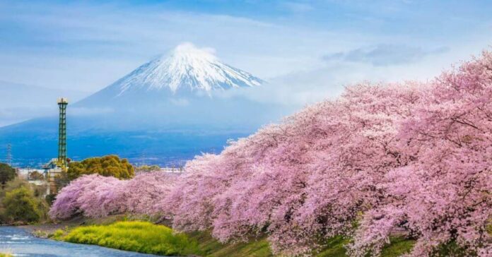 Expedia Japan Hotels: Up to 30% Off Your Next Trip!