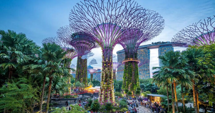 Gardens by the Bay 1-for-1 Tickets – 12 Nov Special on KKday
