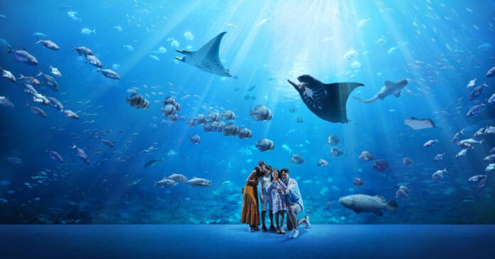 S.E.A. Aquarium 1-for-1 Tickets – Exclusive 11.11 KKday Offer