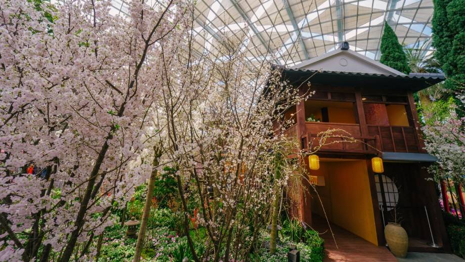 Nomura House at Sakura Event 2026 - Gardens by the Bay